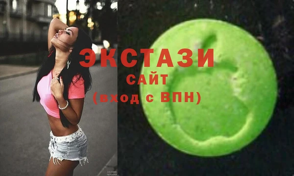 хмурый Аркадак