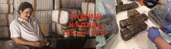 хмурый Аркадак