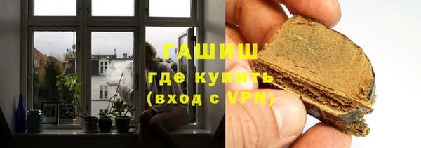 хмурый Аркадак