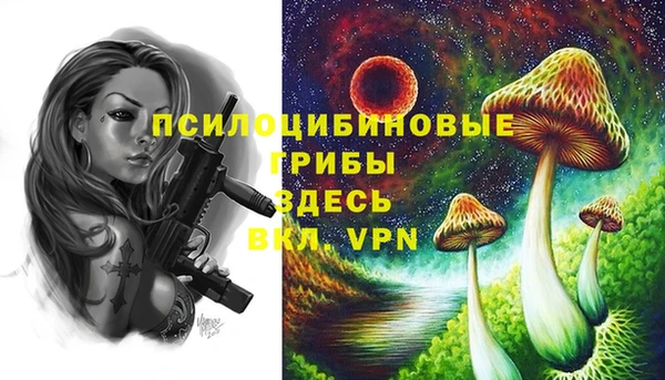 тгк Алексеевка
