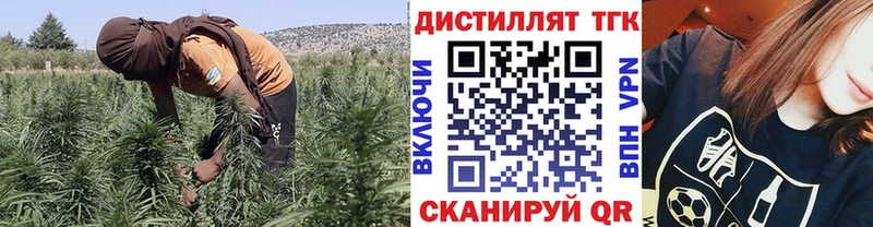 Дистиллят ТГК концентрат omg ссылки Снежногорск где купить наркоту