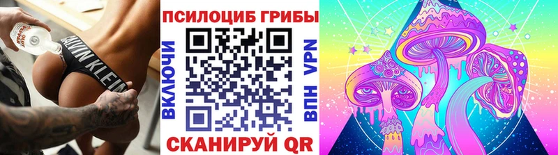 Псилоцибиновые грибы Cubensis  хочу наркоту  Снежногорск 